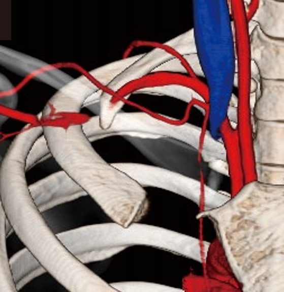 【2月23日】交通事故後、整形外科に行くタイミングはいつ？｜様子見は大丈夫？