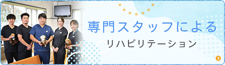 専門スタッフによるリハビリテーション