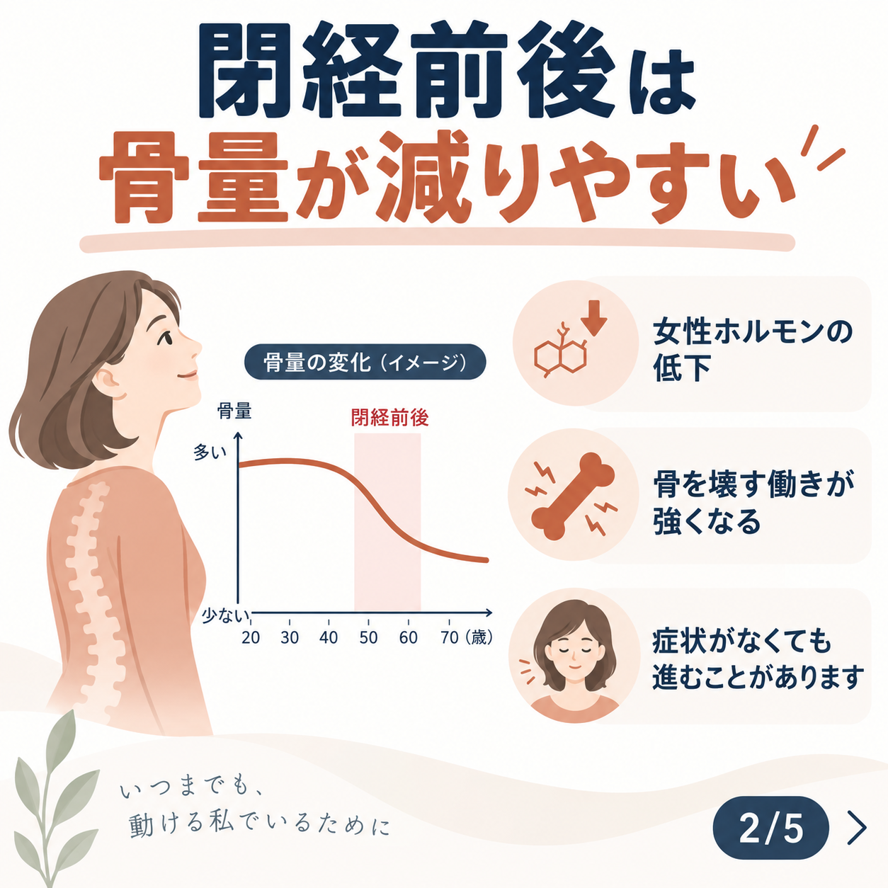 閉経前後に骨量が低下しやすい理由
